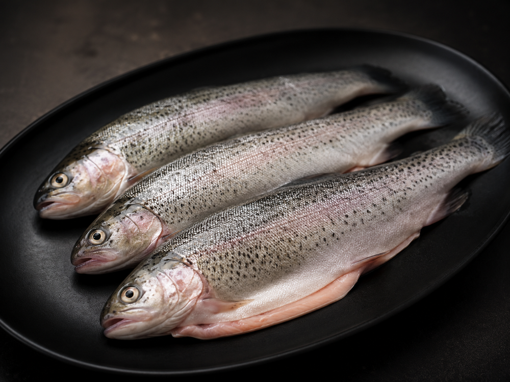 Himalayan Trout – image 1